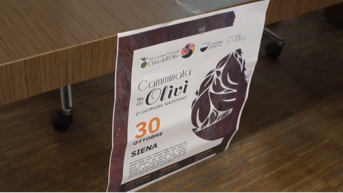 Siena: "Camminata tra gli olivi delle Mura", alla scoperta di tre olivete di Contrada