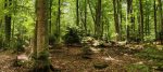 Amiata Outdoor Fest, tre giorni di sport e natura ad Abbadia San Salvatore