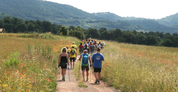 &ldquo;Walking Francigena ultramarathon&rdquo;, in piazza del Duomo a Siena la partenza dell&rsquo;edizione 2024