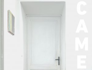 Arte contemporanea nella Lupa, nuova mostra del Museo d'Inverno