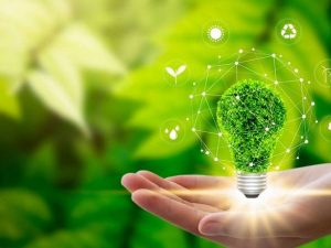 Premio &ldquo;Impresa Sostenibile&rdquo; all'impresa culturale Amat di Siena