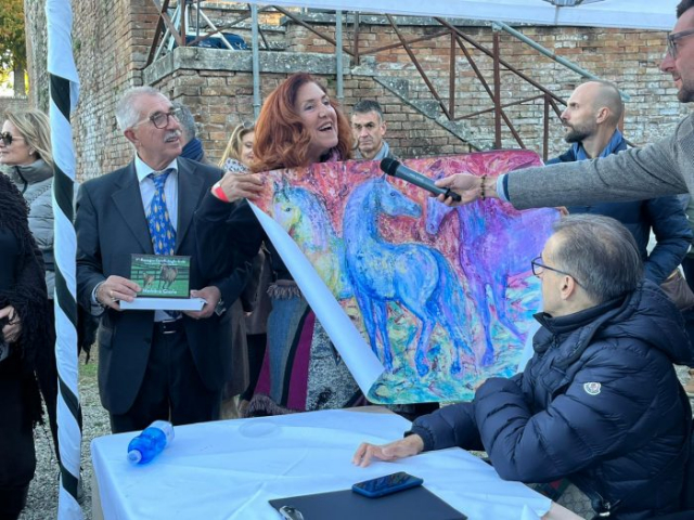 anglo arabi cavalli rassegna (11)