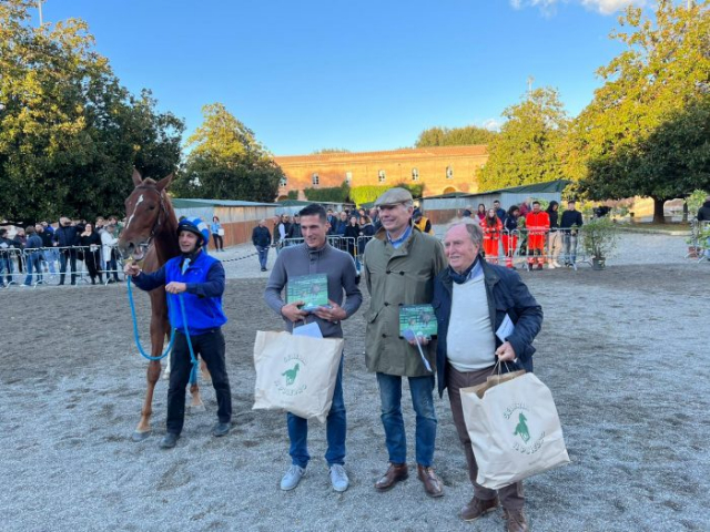 anglo arabi cavalli rassegna (9)