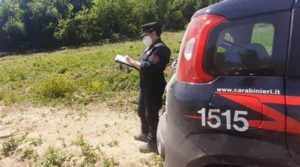 Tagli boschivi massicci sulla Montagnola senese, indagini in corso da parte dei Carabinieri Forestali