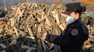 Irregolarit&agrave; nei cantieri boschivi a Radda e Piancastagnaio, tre denunce e oltre 16mila euro di multe