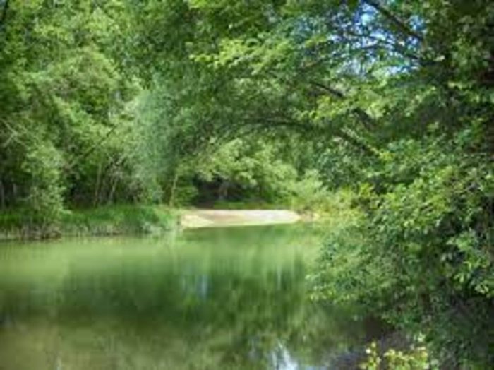 Metti una domenica lungo il Merse, raccogliendo rifiuti e disegnando