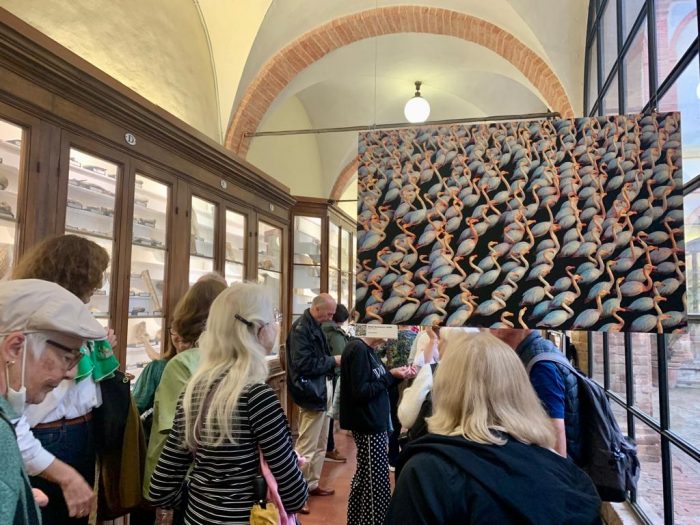 Siena Awards compie 10 anni e lancia un'edizione 2024 straordinaria