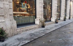 Natale a Siena, accoglienza fredda per le piantine nel centro storico: le voci dei cittadini