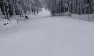 Neve in provincia di Siena, disagi per servizi Tpl e scolastici: la situazione