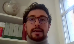 Dai girasoli alle mimose, la natura in tilt, l&rsquo;ecologo della vegetazione: &ldquo;Non creiamo allarmismi, le piante ce la faranno&rdquo;