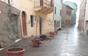 Atti vandalici a Castiglione d'Orcia, il Comune: "Sporgeremo denuncia, chi ha fatto danni pagherà"