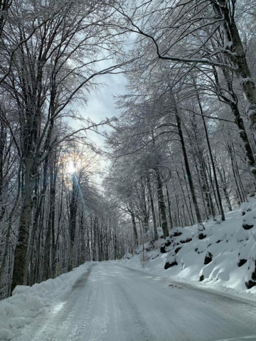 neve amiata gennaio 2023 2