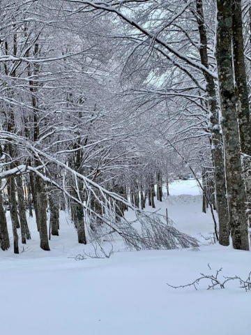 neve amiata gennaio 2023 4
