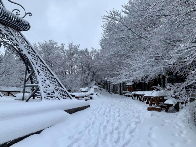 neve amiata gennaio 2023 7