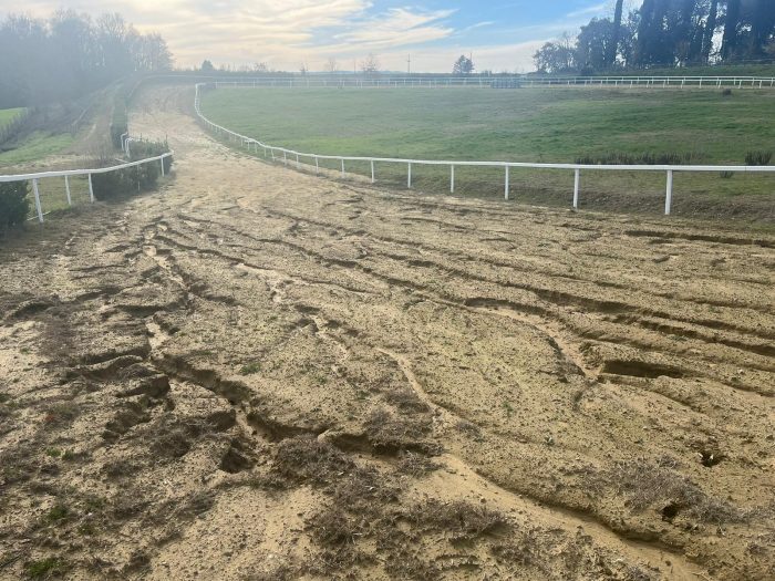 Addestramento dei cavalli da Palio: un disastro la pista di Mociano