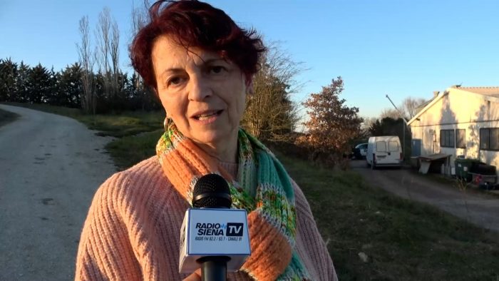 "A scuola" di pastori sardi, al via corso di formazione gratuito