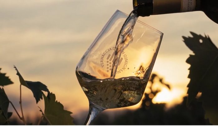 San Gimignano: al via la vendemmia 2023 per tutti i produttori locali