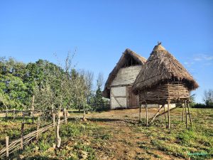 Poggibonsi, atti vandalici all'Archeodromo