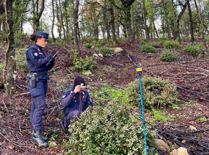 Tagli boschivi nel senese nel 2023: controlli dei Carabinieri Forestali, 12 illeciti penali e 10 denunciati