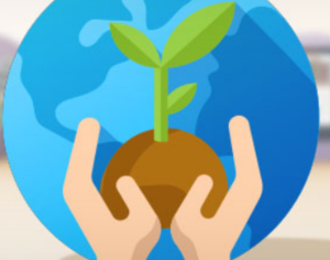 Amministrative Siena, Peccianti (Idee in comune) scrive al M5S: "Scegliere di correre da soli favorisce il centrodestra"