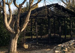 Poggibonsi: data alle fiamme l'oasi felina in costruzione a Campotatti