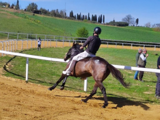 Mociano 28-03-23 (2)