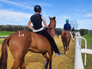 Mociano 28-03-23 (3)