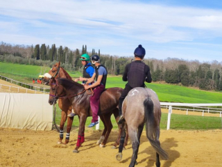 Mociano 28-03-23 (4)