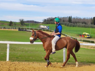 Mociano 28-03-23 (5)