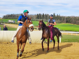 Mociano 28-03-23 (6)