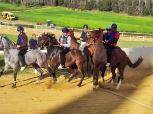 Lavori addestramento cavalli da Palio a Mociano 9 maggio, le batterie