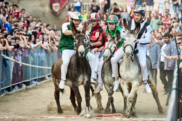 Palio dei Somari di Torrita di Siena, dall'16 al 24 marzo la 67esima edizione