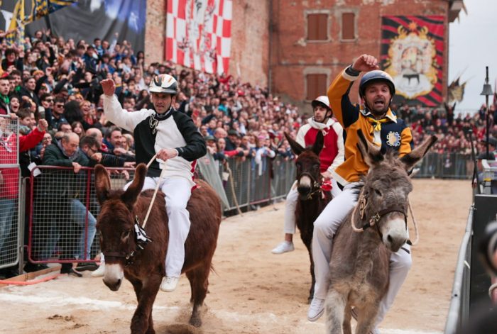 Palio dei Somari di Torrita di Siena, nel weekend si entra nel vivo