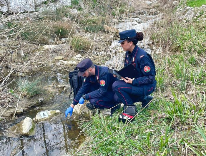 Asciano: moria di pesci nel torrente Copra, indagano i carabinieri forestali