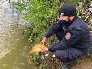 Pesca di frodo nel Lago di Chiusi, fermati due uomini