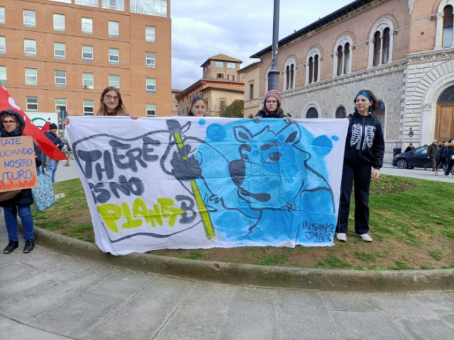 manifestazione clima 9