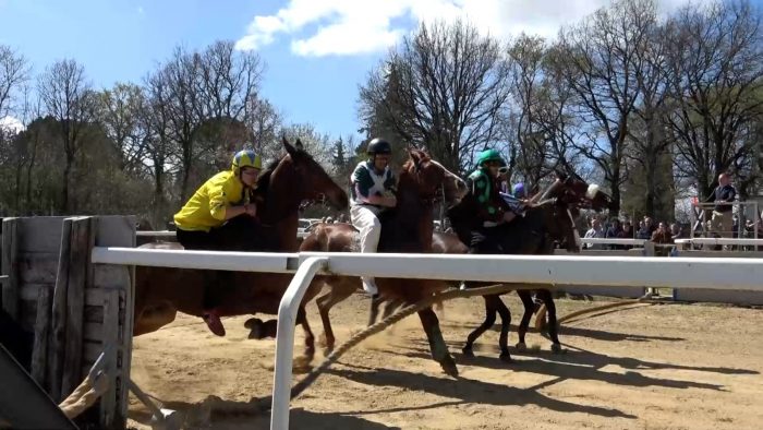 Palio, si riprende la tradizione: capitani a pranzo con il mossiere Ambrosione dopo le corse di Monticiano