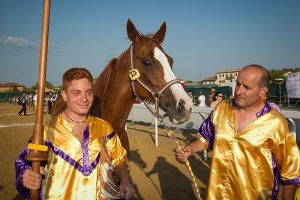 Gammede, il cavallo del Palio trionfatore nella Giostra di Sarteano