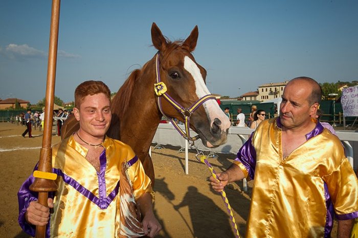 Gammede, il cavallo del Palio trionfatore nella Giostra di Sarteano