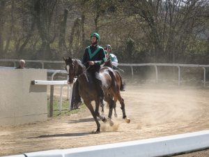 Palio: l'11 aprile corse di addestramento a Monticiano. Ecco il programma
