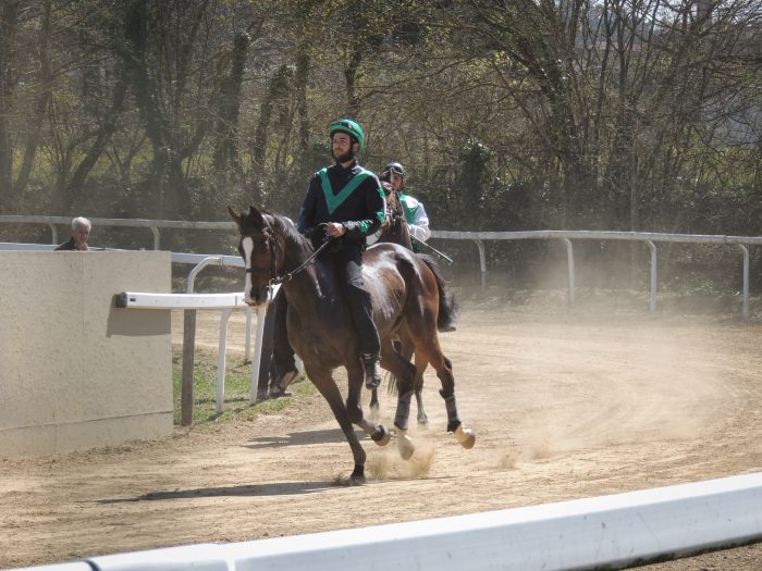 Palio: l'11 aprile corse di addestramento a Monticiano. Ecco il programma