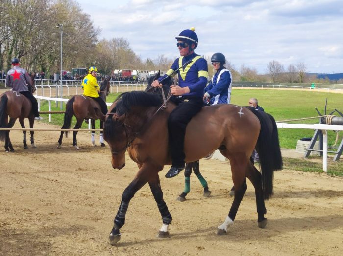 Palio: a Monticiano si galoppa "davvero"