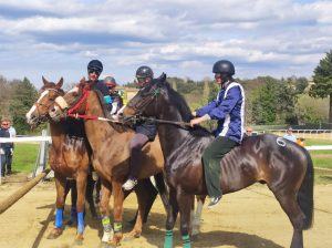 Palio: il 2 maggio corse di addestramento a Monticiano