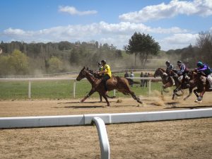Palio: domani nuovo appuntamento con le corse a Monticiano