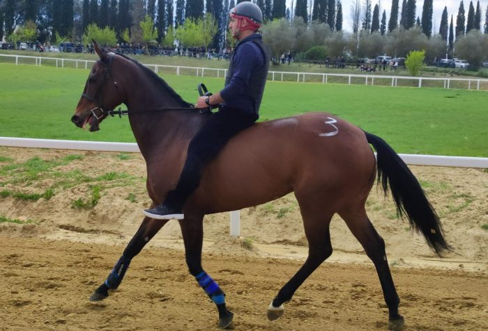 Palio, Violenta da Clodia esce di scena. Milani: "Decisione inaspettata del proprietario che va rispettata"