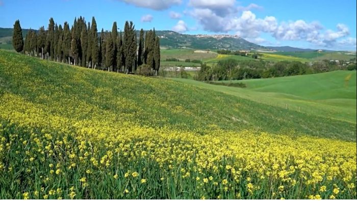 I cambiamenti del paesaggio rurale, se ne parla a Siena