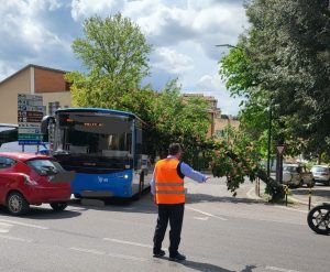 Siena: albero cade e colpisce un bus in transito