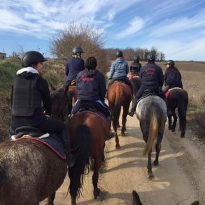 Elezioni Siena, Simonetta Losi: "Il turismo equestre una grande opportunit&agrave; per la citt&agrave;"