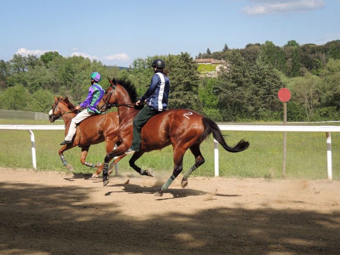 Palio, il programma delle corse di addestramento a Monticiano