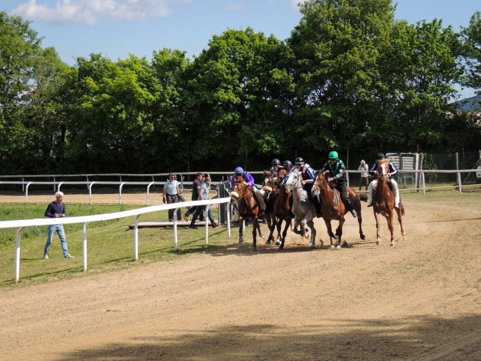 Palio, Scompiglio: "Una pista per tutte le stagioni sarebbe una garanzia per la Festa"
